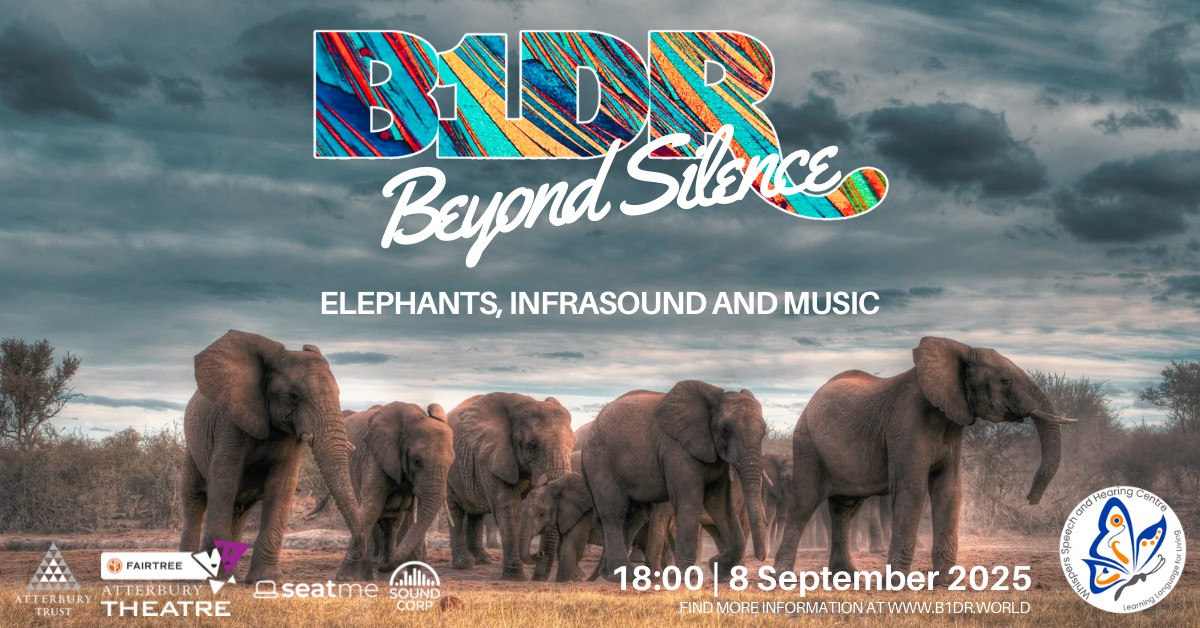Protected: B1DR Beyond Silence